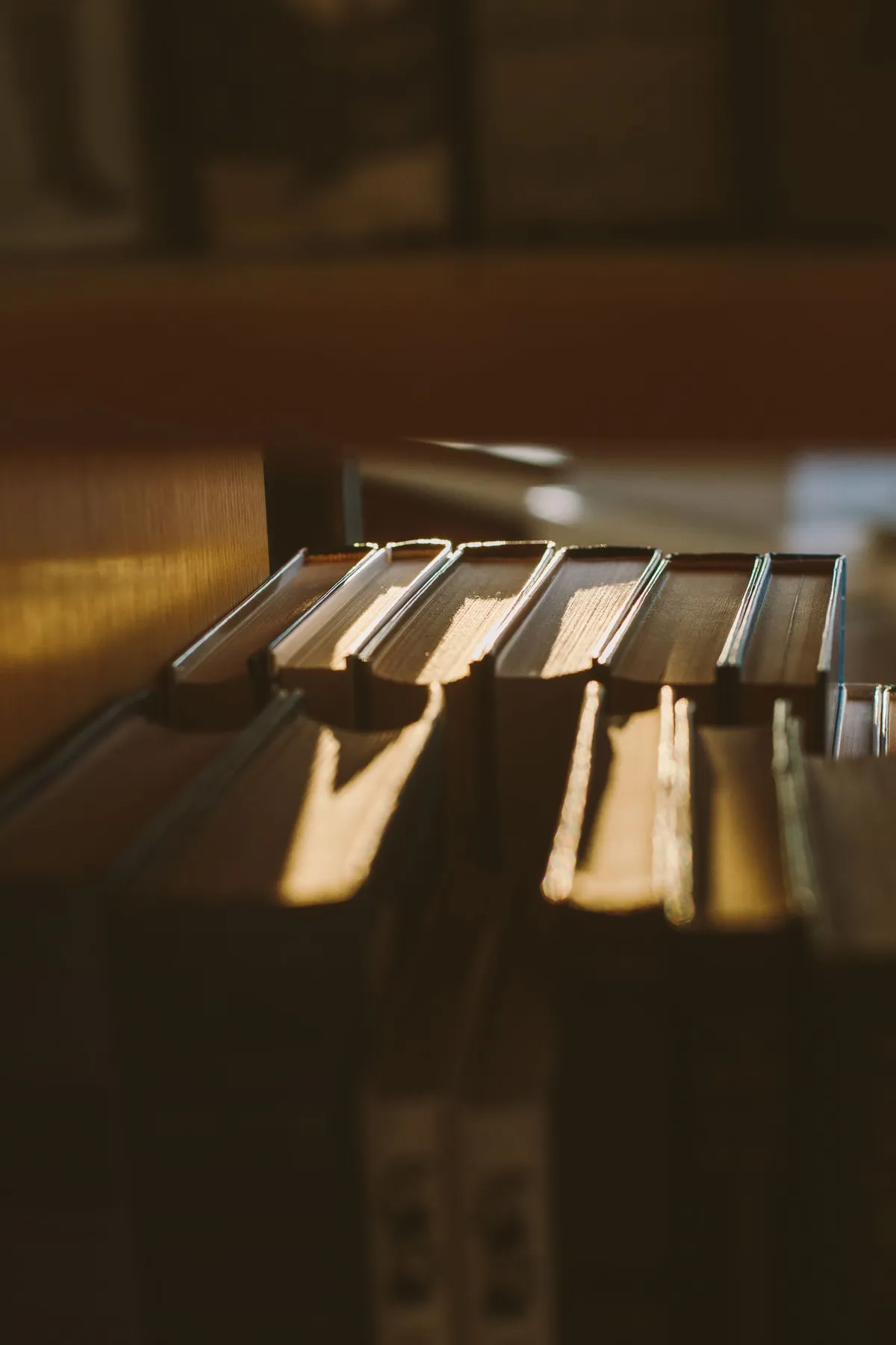 Libri su uno scaffale attraversati dalla luce del sole.
